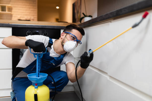Best Exterminator Services  in Corinth, TX