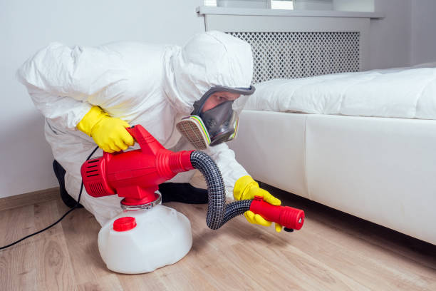 Best Local Pest Control Services  in Corinth, TX