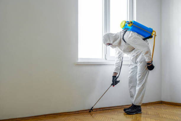 Pest Prevention Services in Corinth, TX