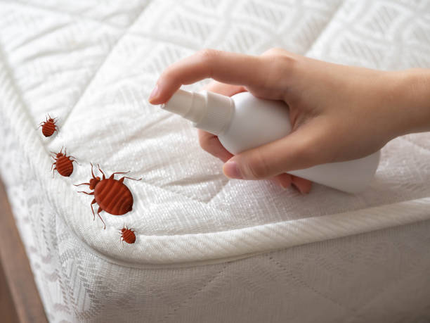 Best Emergency Pest Control  in Corinth, TX