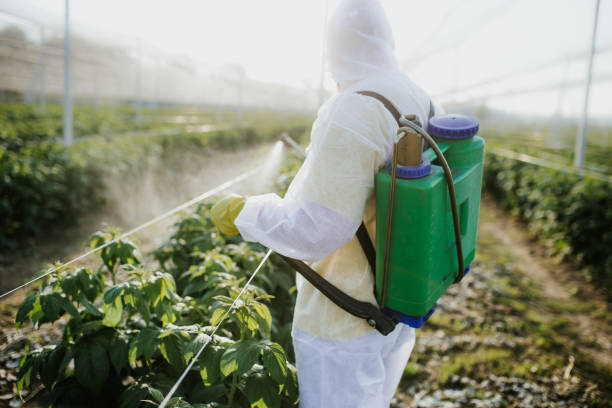 Pest Control for Restaurants in Corinth, TX